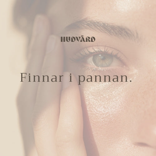 Finnar i pannan